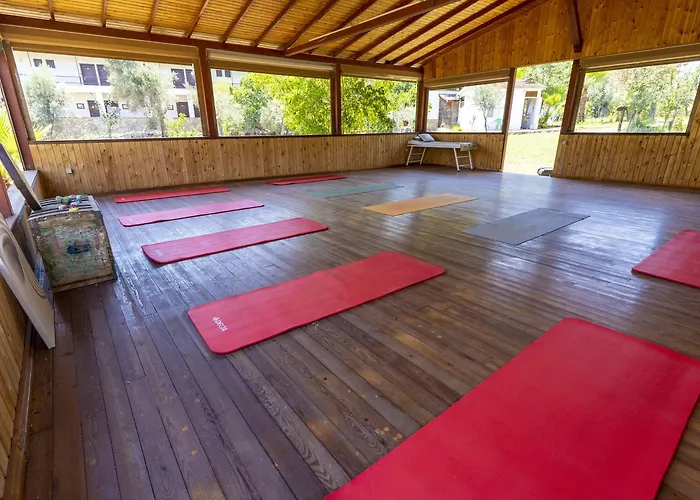 Отель Xanthos Boutique Patara Gelemis