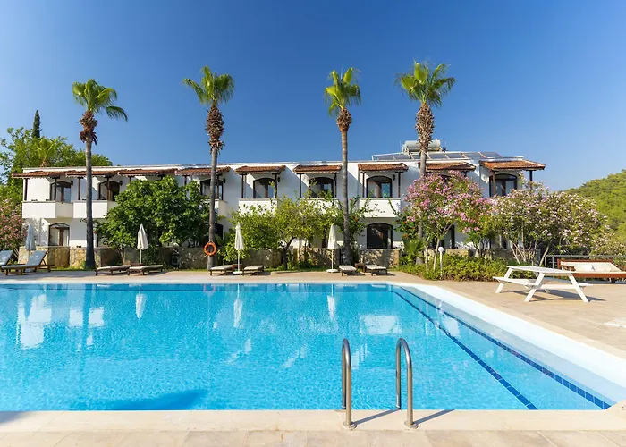 Отель Xanthos Boutique Patara 3*