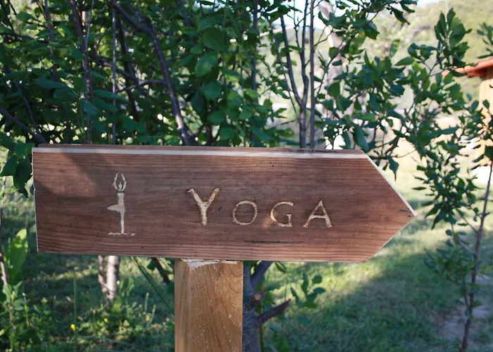 Xanthos Boutique Patara 호텔